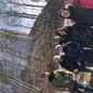Blandet gruppe ved foten av Neuschwanstein slott
