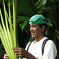 En lokal guide i Amazonas viser fram toquilla-planten som blant annet er råmateriale til panamahatten, eller sombrero de paja toquilla, som hatten heter i Ecuador.