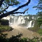Utflukt til Iguazu falls. En av verdens aller største fosser. Ligger på grensen mellom Argentina og Brasil.