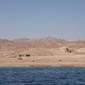 Ørken og hav er omgivelsene rundt byen Aqaba, som ligger like ved grensene til Egypt og Saudi-Arabia. PÅ den andre siden av vannet ligger Egypt.