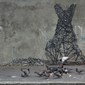 Grafitti - The Big Scary Wolf - Cape Town