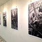 Utstillingen, Lord of the Mangrove, var ett av høydepunkta under FotoWeekDC